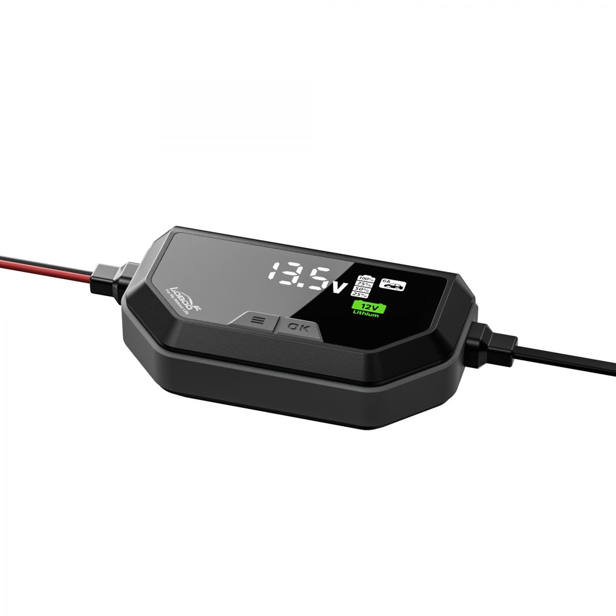 Sạc ắc quy Loboo C60